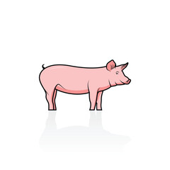 Pink pig isolated vector graphics