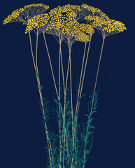 Ilustracja grafika wysoka trawa z kolorowymi żółtymi kuleczkami motyw roślinny na niebieskim tle. - obrazy, fototapety, plakaty