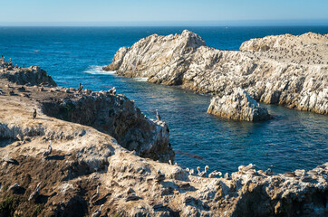 Rock Formations and Ocean at Point Lobos State Natural Reserve