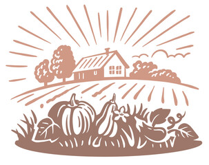 Pumpkin harvest landscape. Autumn Harvest