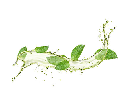 Green herbal tea flow wave splash and mint leaves