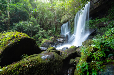 Fototapeta premium summer at waterfall with cool water flowing in the rainforest