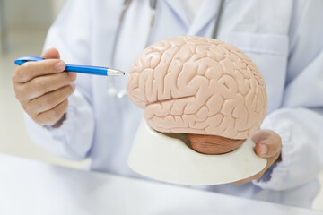 Neurologist hand pointing brain anatomy human model and brain disease lesion on white...