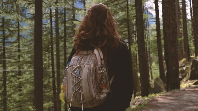 woman with a bag trekking in the forest surrounded by pine trees - Parvati Valley - Himachal Pradesh - Himalayas, India