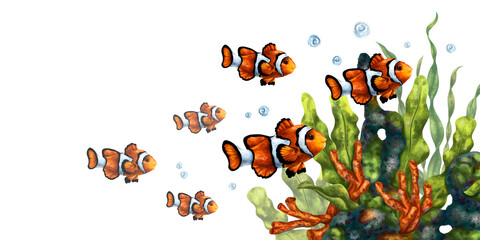 A bright composition with an underwater world. Red coral, seaweed, tropical clown fish. Digital illustration on a white background. For printing, stickers, posters, postcards, prints