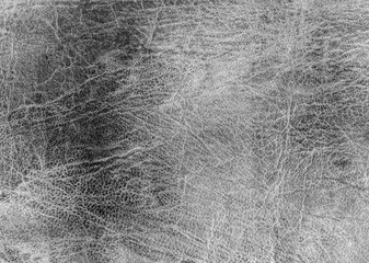 old vintage texture of gray teather for wallpaper and concept design,