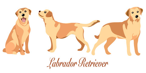 doodle style hand drawn, Golden retriever. Funny labrador baby pet, cute labradors sitting jump run dog sit cartoon adult and puppy retrievers doggy poses puppys running, set icon vector illustration.