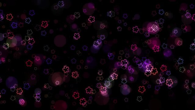 cherry blossom loop background