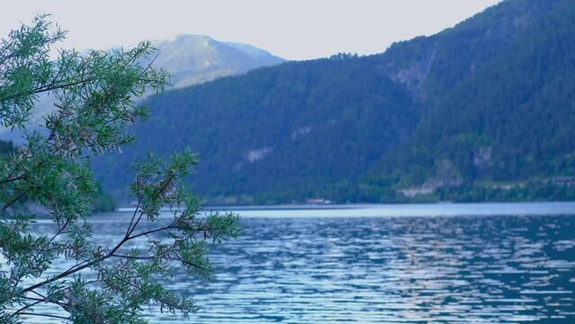 mountain landscape, lake Achensee in tyrol, green mountains rises above calm expanse of water, concept of Austrian water resources, fishing permit, vacation by reservoir, resort place tyrol