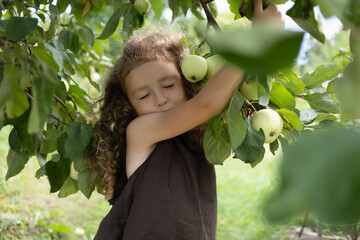 girl farmer harvests apple from tree. kid gardening, harvesting in orchard. child growing bio plants in farm garden. healthy organic fruit concept. soft focus