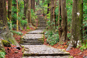 Kumano Kodo ancient trail in Nachi, Wakayama, Japan - Powered by Adobe