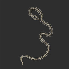 magical forest elements. images of a snake, night moth, fly agaric mushrooms, plant and space elements. Ideal for printing on fabric or clothing, wallpaper and wrapping paper