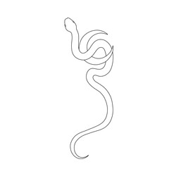 magical forest elements. images of a snake, night moth, fly agaric mushrooms, plant and space elements. Ideal for printing on fabric or clothing, wallpaper and wrapping paper