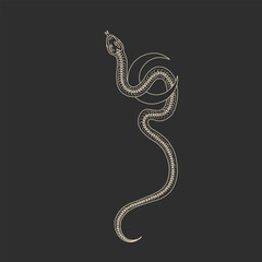 magical forest elements. images of a snake, night moth, fly agaric mushrooms, plant and space elements. Ideal for printing on fabric or clothing, wallpaper and wrapping paper