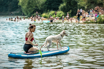 Snow-White Dog Standing on Sup Board, Woman Paddleboarding with Her Pet on City Lake