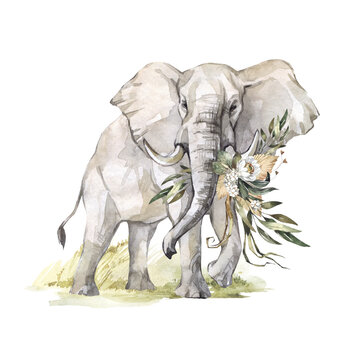 Watercolor elephant with flowers on grass. African animlas clipart. World Zoo nature illustration for kids products. World fauna and flora. Hand drawn wild animal with tropical bouquet print on