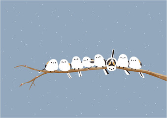 雪降る中、木の枝に止まっている沢山のかわいいシマエナガ11