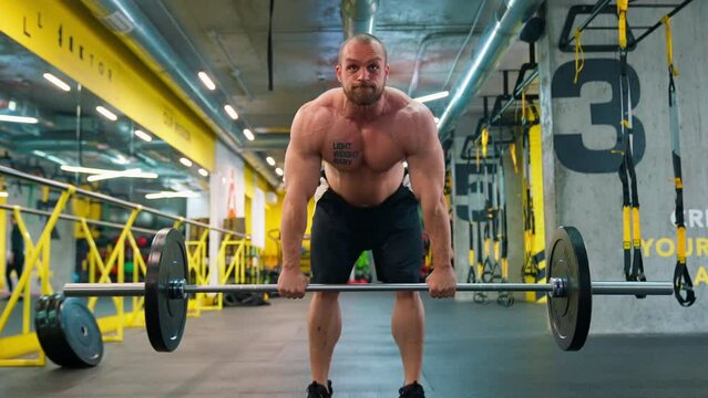Bald bodybuilder exercising in the gym. Raises the barbell, dumbbells, jumping rope, trx workout. Pumped up big muscles. Work with large, heavy weights in the gym. Nice curvy body.