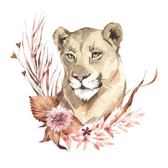 Watercolor lioness portrait with flowers. African animlas clipart. World Zoo nature illustration for kids products. World fauna and flora. Hand drawn wild cat head with dried bouquet print on - 588773560