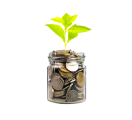 Growing Plants in money in the glass. on transparent background with clipping path, - Investment and Interest Ideas. Money growing plant with fiery light effect - money growing concept.