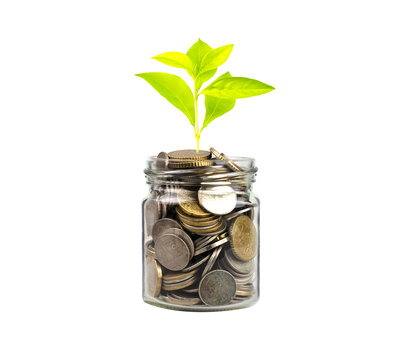 Growing Plants in money in the glass. on transparent background with clipping path, - Investment and Interest Ideas. Money growing plant with fiery light effect - money growing concept.