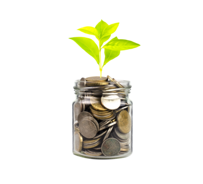 Growing Plants in money in the glass. on transparent background with clipping path, - Investment and Interest Ideas. Money growing plant with fiery light effect - money growing concept.