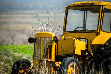 Antique yellow vintage old abandoned tractor in the field, hello spring blossom tree