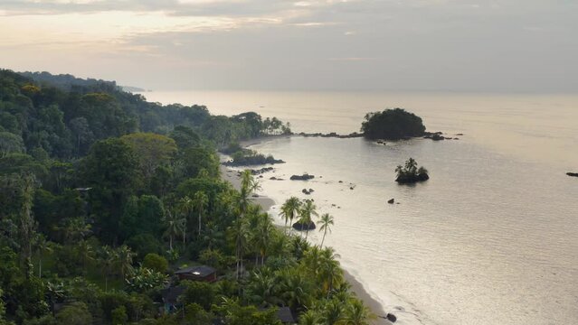 Pacific Coast With Rainforest
