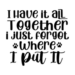 I Have it all Together I Just Forgot Where I Put It