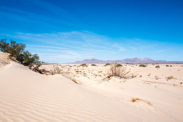 sand dunes in the desert