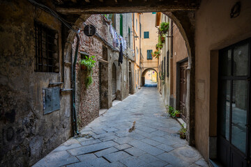 Tuscany town of Lucca in Italy - obrazy, fototapety, plakaty