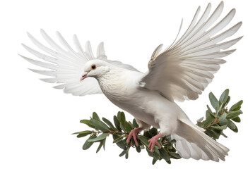 Realistic Flying White Dove with Olive Branch on Transparent Background, AI Generative