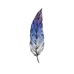 Obraz premium Watercolor painting of blue feather.