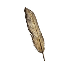 Fototapeta na wymiar Watercolor painting of brown feather.