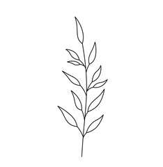 Vector isolated one single simplest vertical branch with leaves colorless black and white contour line easy drawing