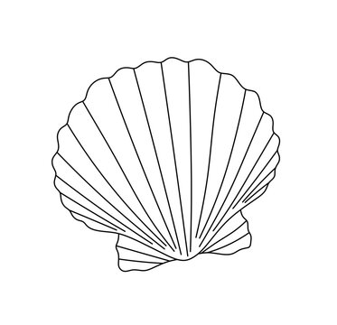 Vector isolated one single simplest oyster scallop shell flap colorless black and white contour line easy drawing