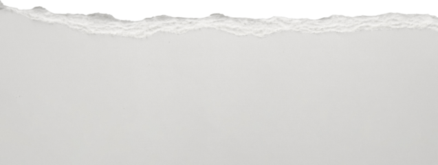 White ripped paper torn edges strips isolated on white background