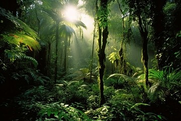 Rainforest is often referred to as the "lungs of the Earth" because of its ability to produce oxygen. Generative AI