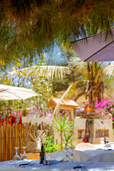 Terrasse d'un restaurant dans un jardin tropical