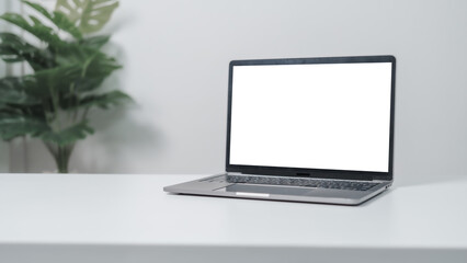 Blank screen of laptop pc computer on white desk table with monstera plant pots.