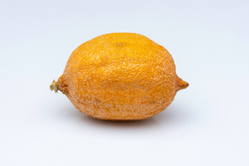 spoiled lemons isolated on white background