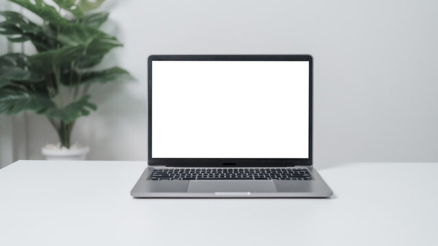 Blank Screen Of Laptop Pc Computer On White Desk Table With Monstera Plant Pots.