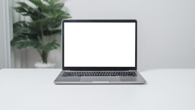 Blank screen of laptop pc computer on white desk table with monstera plant pots.
