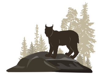 Forest woodland landscape with wild cat lynx on a rock. Vector illustration © Евгений Горячев