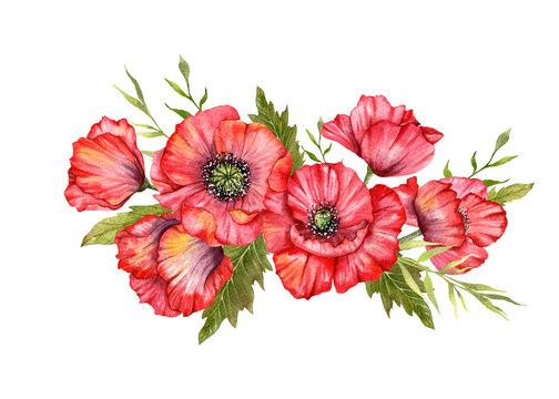 Red Poppy Flowers Watercolor Illustration,  Hand Painted Wildflowers Bouquet