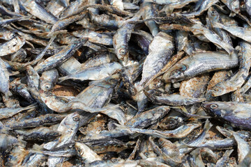Dried fish on the market. Closeup of abundance of small dry fishes kept in the market for sale in Chennai, Tamilnadu.