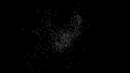  Explosion of silver particles on black background concept