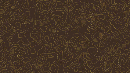 Stylized topographic map outline height in lines and contours. The concept of a conditional geographical scheme and the trajectory of the terrain. Ultra wide size. Vector illustration.