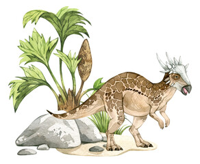 Watercolor dinosaur illustration with prehistoric landscape. Hand drawn Stygimoloch with stones and wild plants. Detailed dino clipart for kids products. Children Encyclopedia of ancient animals. PNG