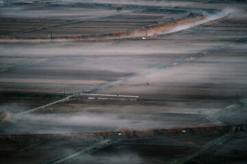 foggy field shot over rice farm, clouds cover a field of crops in foggy conditions
